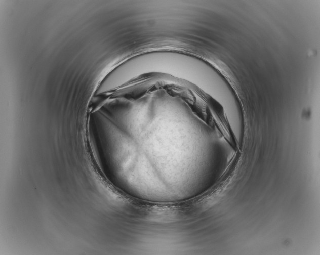 X0000089950850200707271838