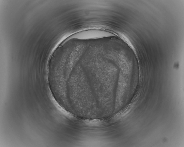 X0000089950851200707271838