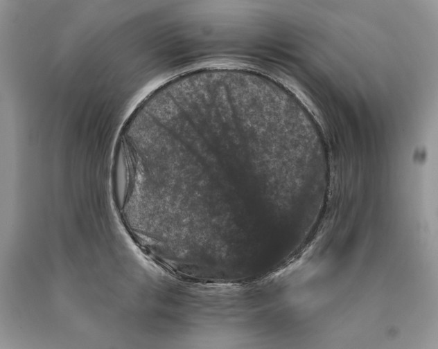 X0000089950853200707271838