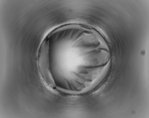 X0000089950854200707271838