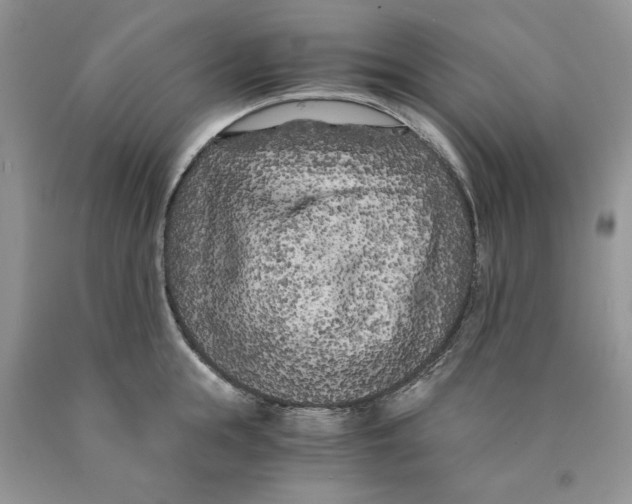 X0000089950855200707271838