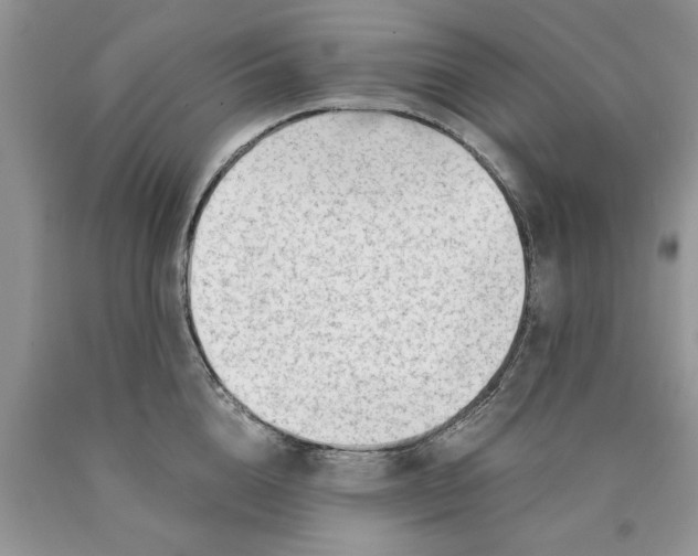 X0000089950856200707271838