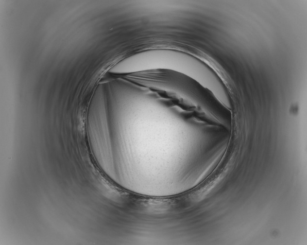 X0000089950857200707271838