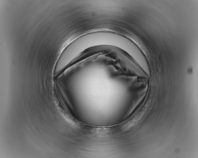 X0000089950858200707271838