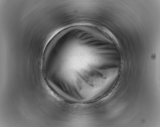 X0000089950860200707271838