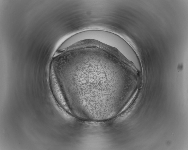 X0000089950862200707271838