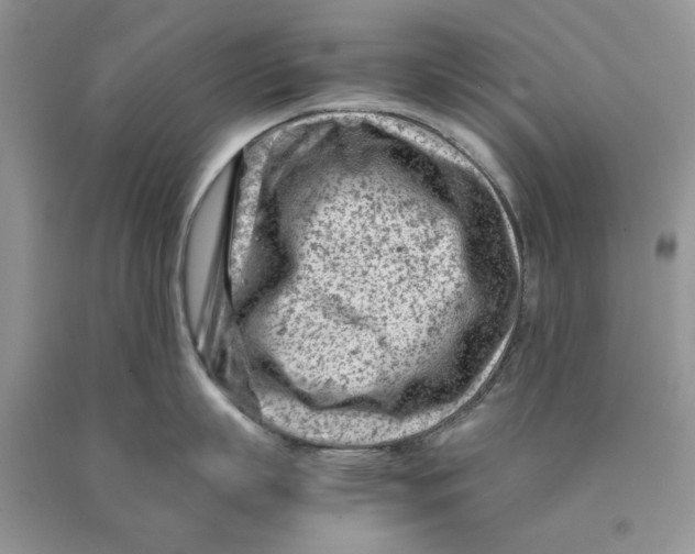 X0000089950863200707271838