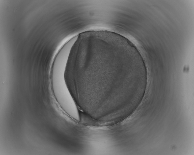 X0000089950864200707271838