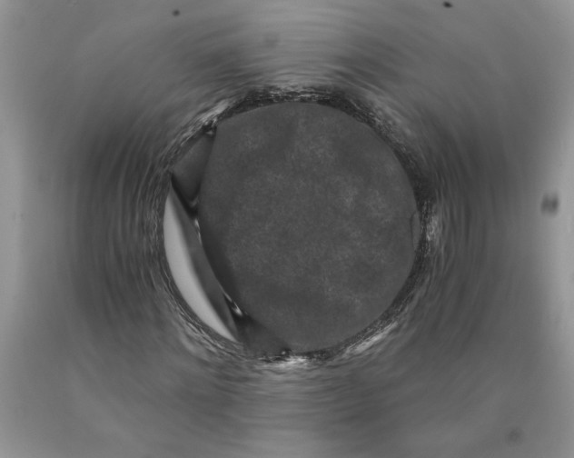 X0000089950868200707271838