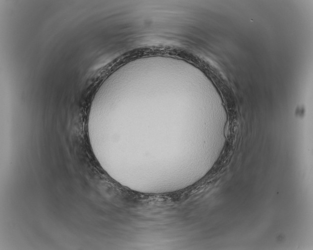 X0000089950869200707271838