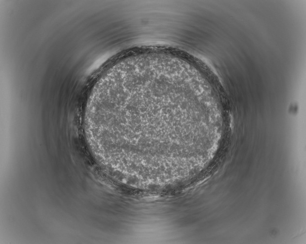 X0000089950871200707271838