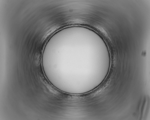 X0000089950873200707271838