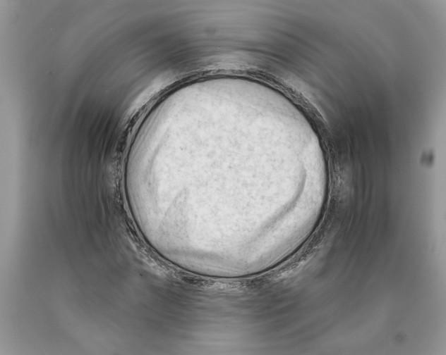 X0000089950874200707271838