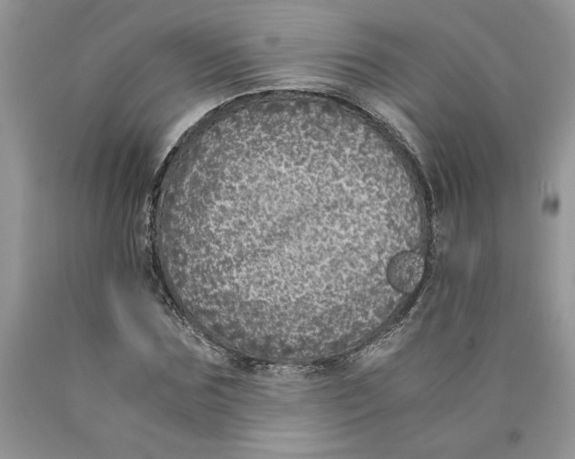 X0000089950875200707271838