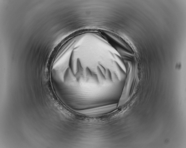 X0000089950876200707271838