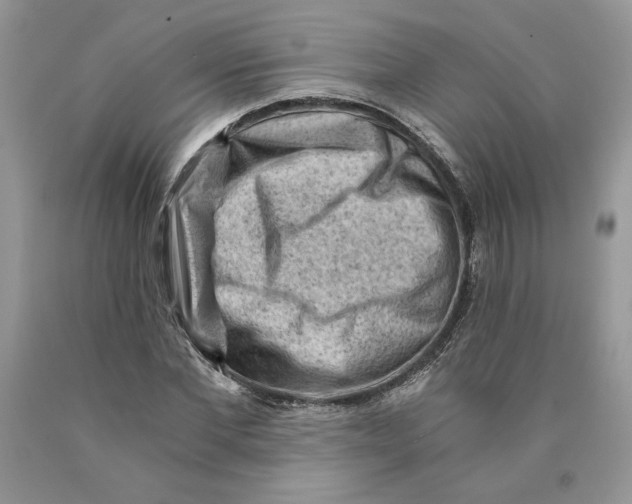 X0000089950877200707271838