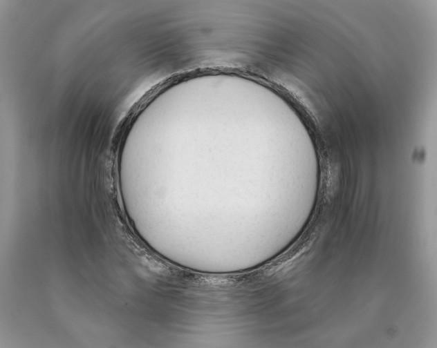 X0000089950878200707271838