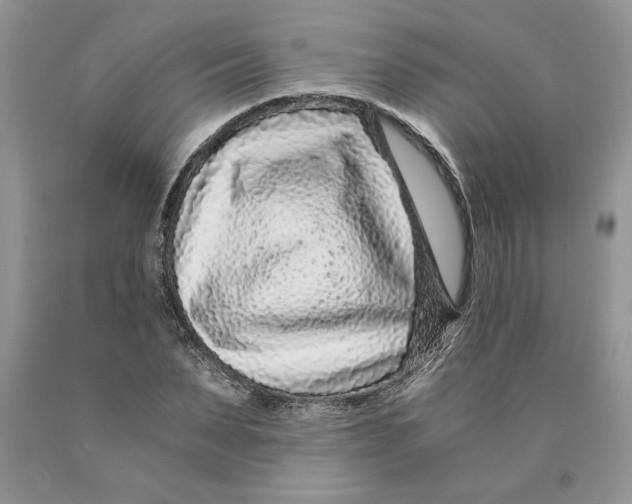 X0000089950879200707271837