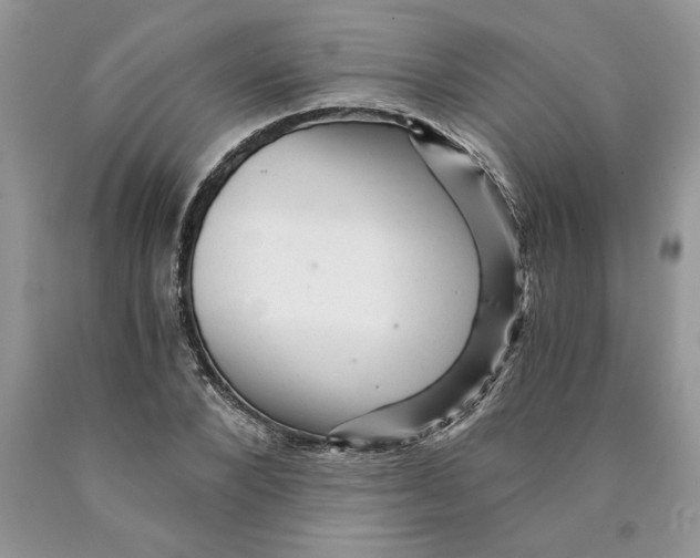 X0000089950880200707271837