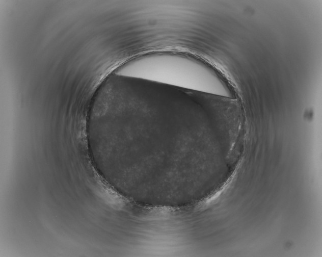 X0000089950881200707271837