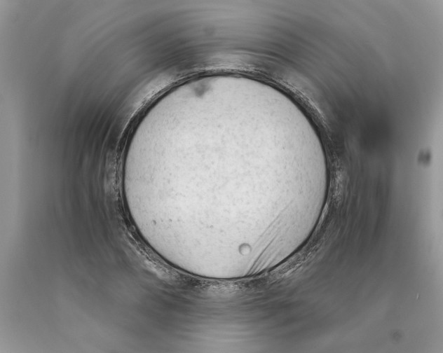 X0000089950882200707271837