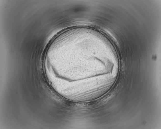 X0000089950883200707271837