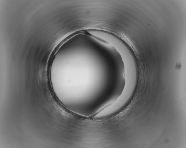 X0000089950884200707271837