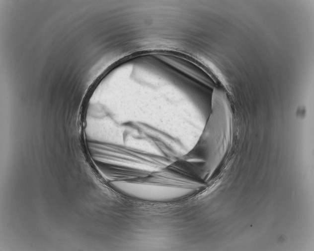 X0000089950885200707271837