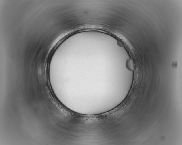 X0000089950886200707271837