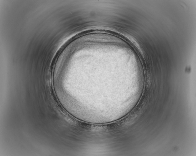 X0000089950887200707271837