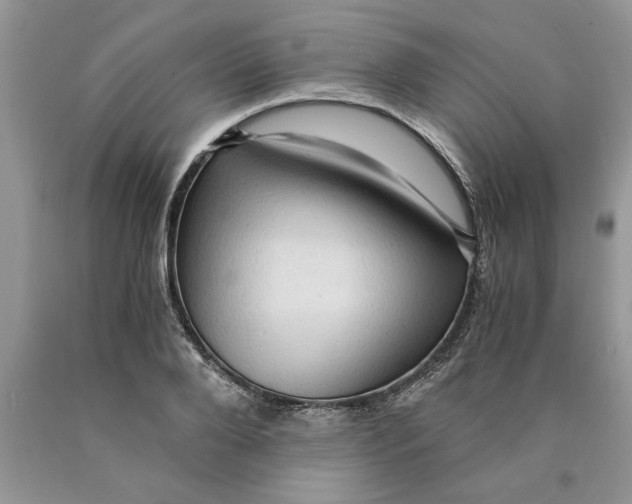 X0000089950888200707271837