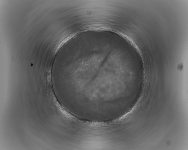 X0000089950889200707271837