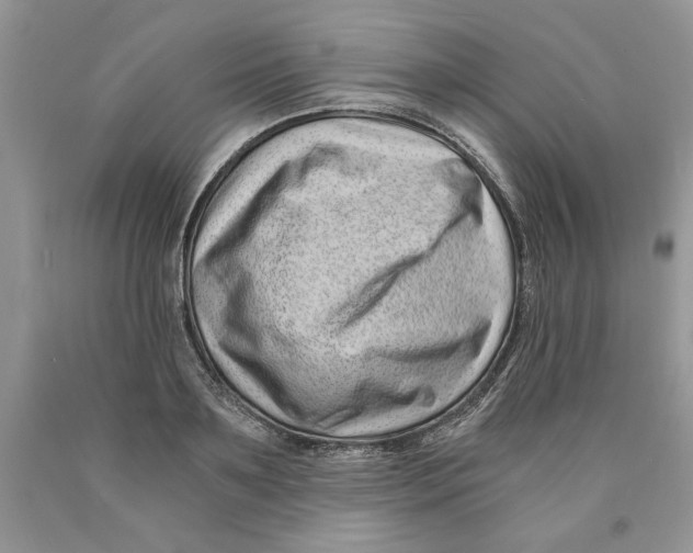 X0000089950891200707271837