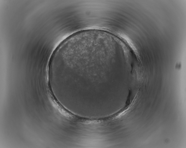 X0000089950892200707271837