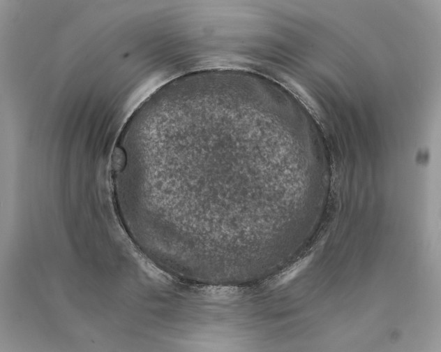 X0000089950893200707271837