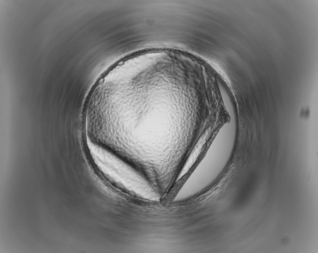 X0000089950895200707271837