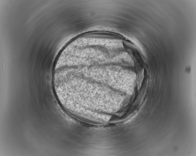 X0000089950896200707271837