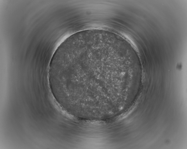 X0000089950899200707271837