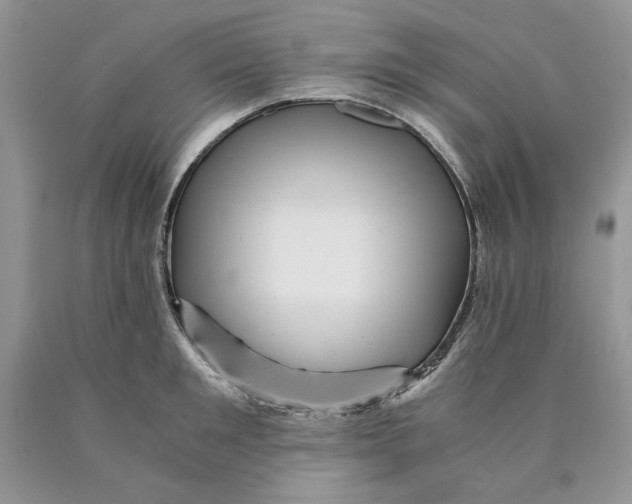 X0000089950901200707271837