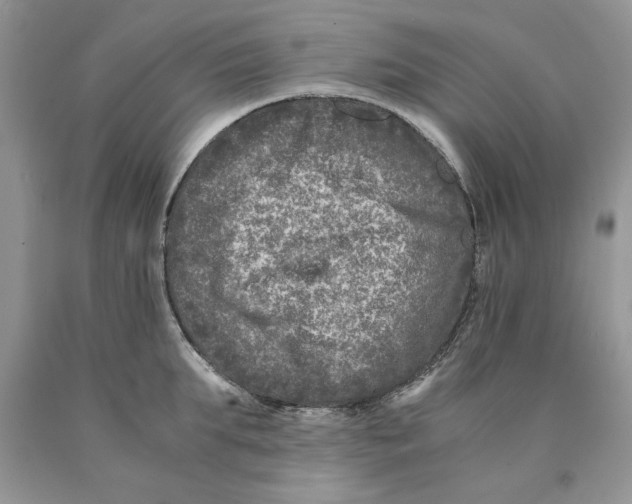 X0000089950903200707271837