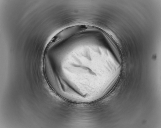 X0000089950904200707271837