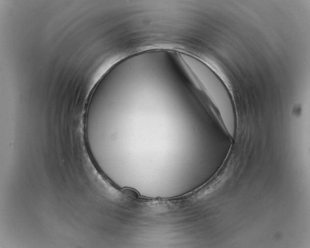 X0000089950906200707271837