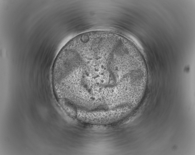 X0000089950907200707271837