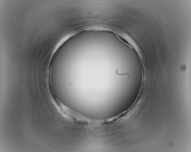 X0000089950909200707271837