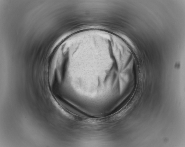 X0000089950910200707271837