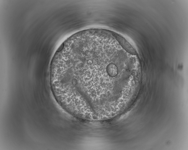 X0000089950911200707271837