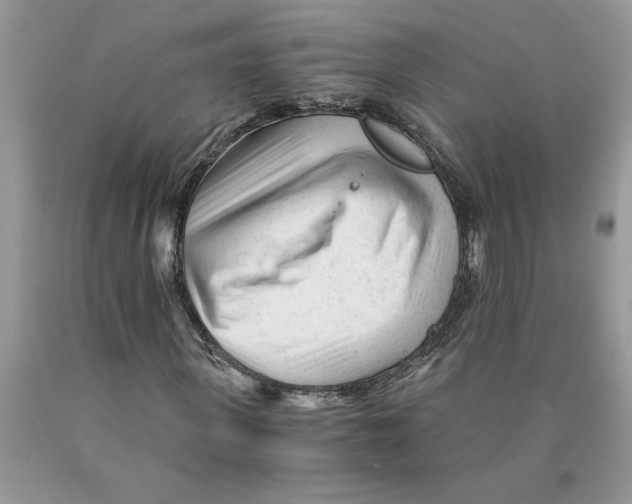 X0000089950915200707271836