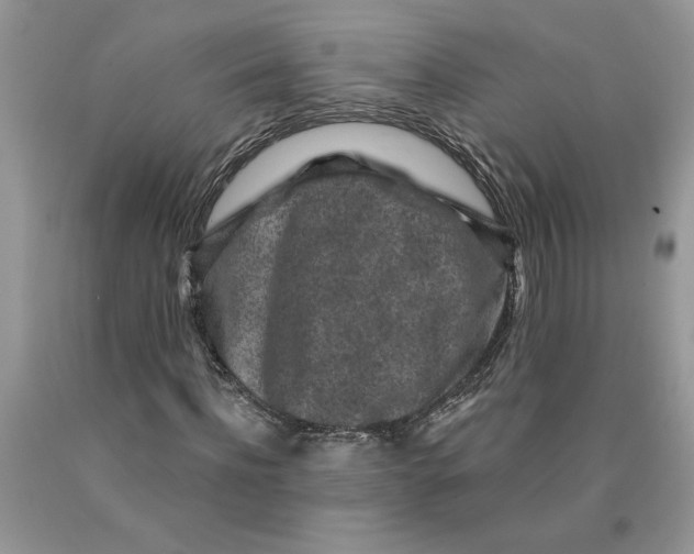 X0000089950916200707271836