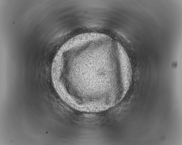 X0000089950917200707271836