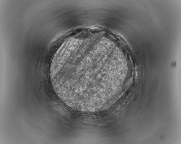 X0000089950919200707271836